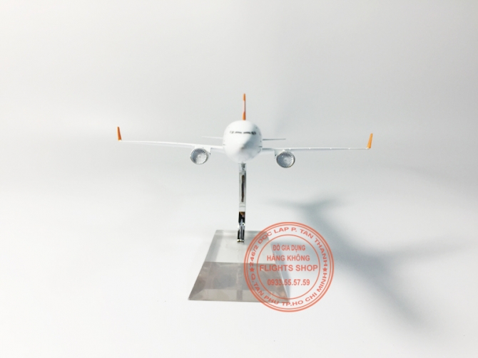 B737 GOL 16cm