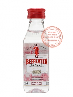 Beefeater Dry Gin Plastic, Version 2018