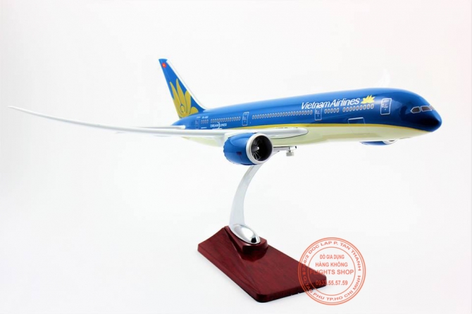 B787-9 Vietnam Airlines 43cm