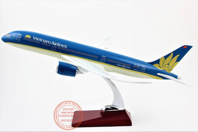 B787-9 Vietnam Airlines 43cm